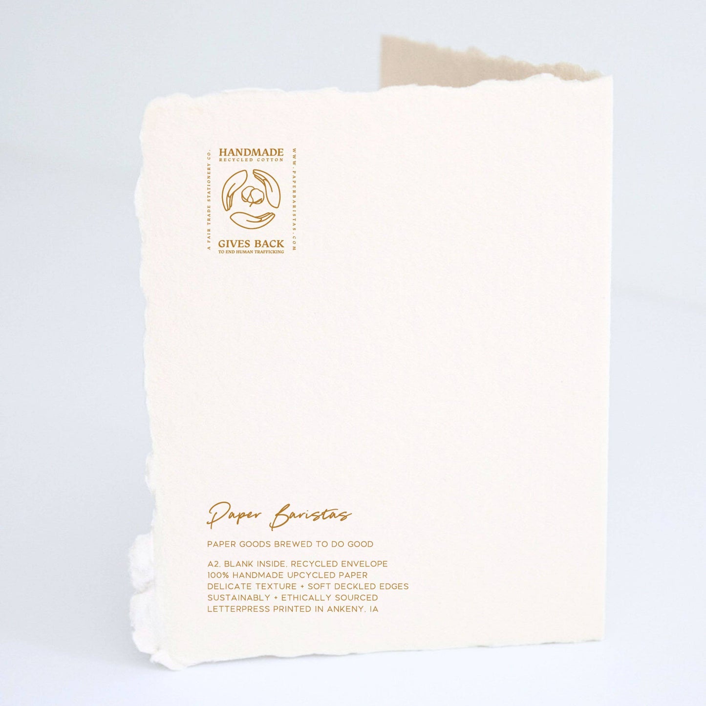 Paper Baristas - For the Lovebirds | Eco-Friendly Wedding Greeting Card