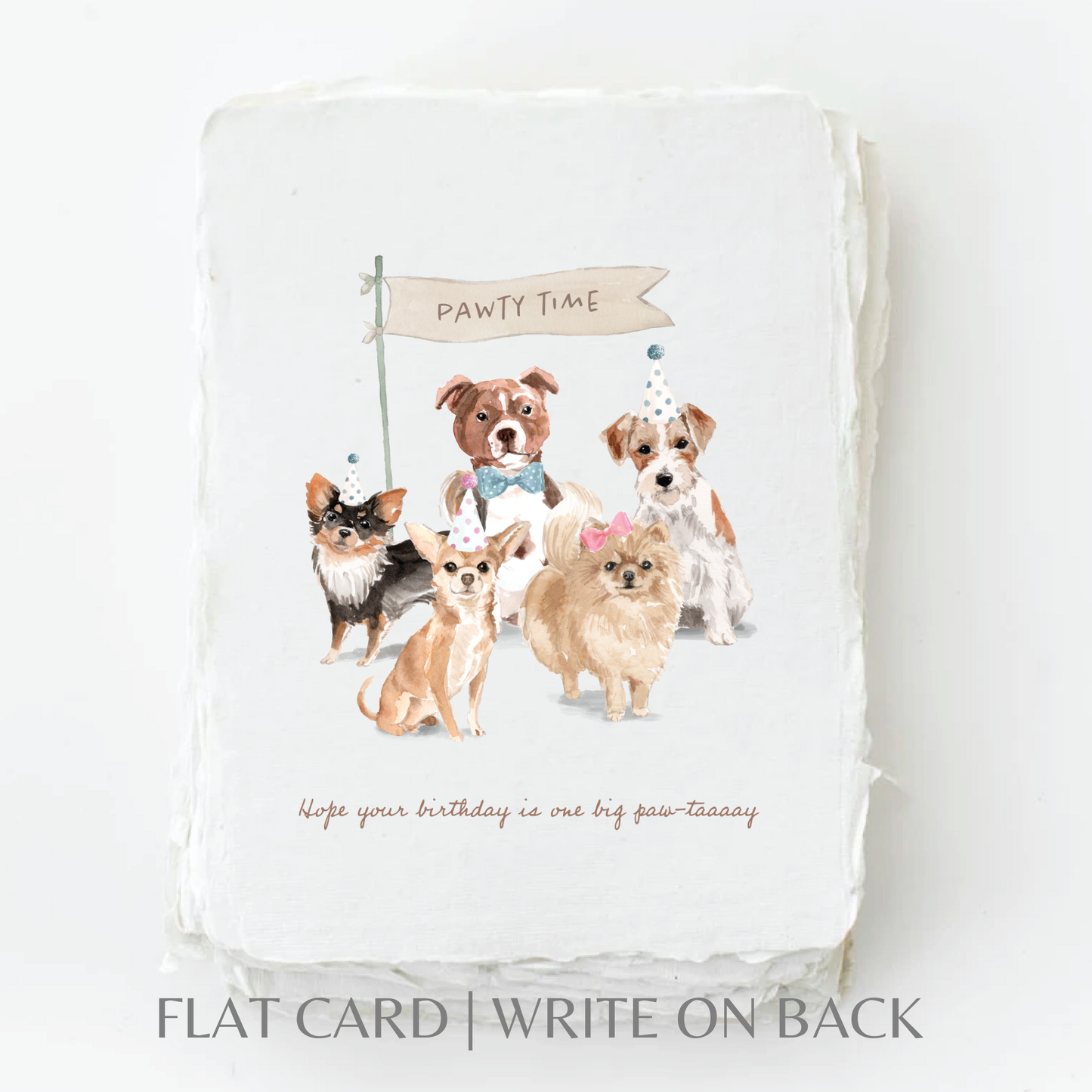 Paper Baristas - Birthday Paw-tay Dogs | Eco-Friendly Greeting Card