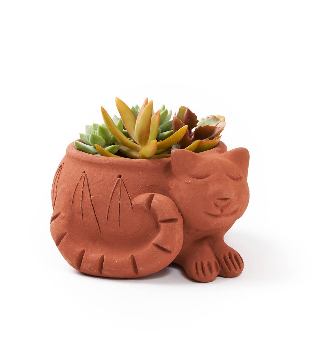 Matr Boomie Fair Trade - Rakshana Terracotta Plant Pot - Sleeping Cat